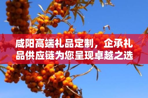 咸阳高端礼品定制，企承礼品供应链为您呈现卓越之选